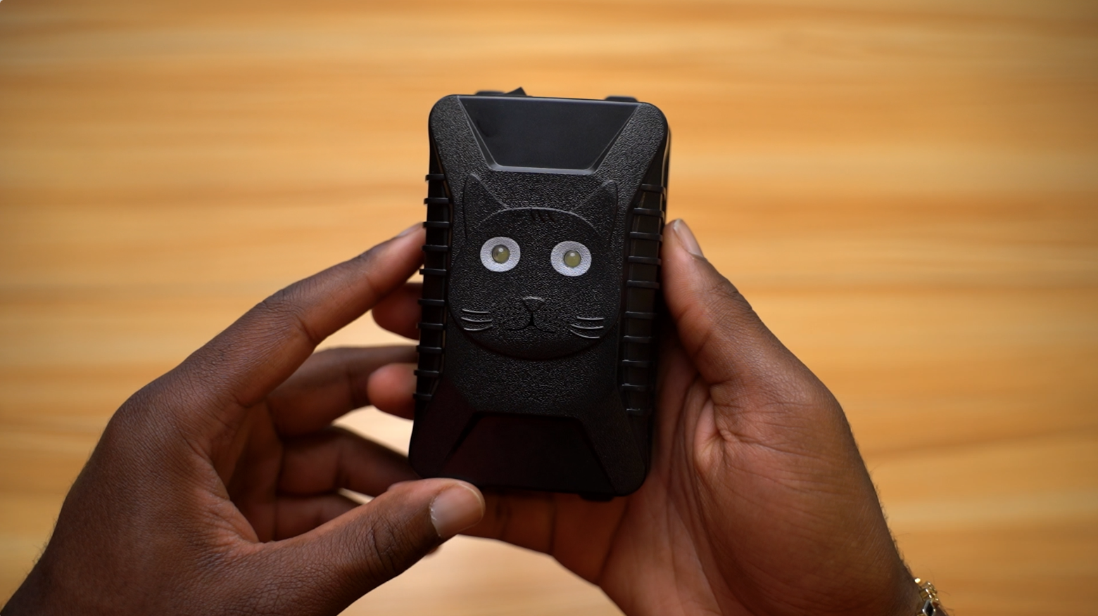 Borhood Ultrasonic Pest Repeller