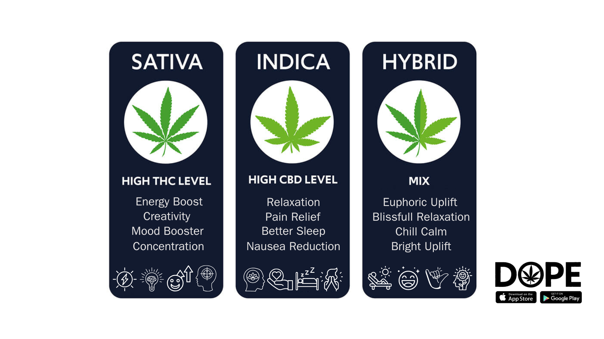 A visual guide on how to choose the right cannabis strain.