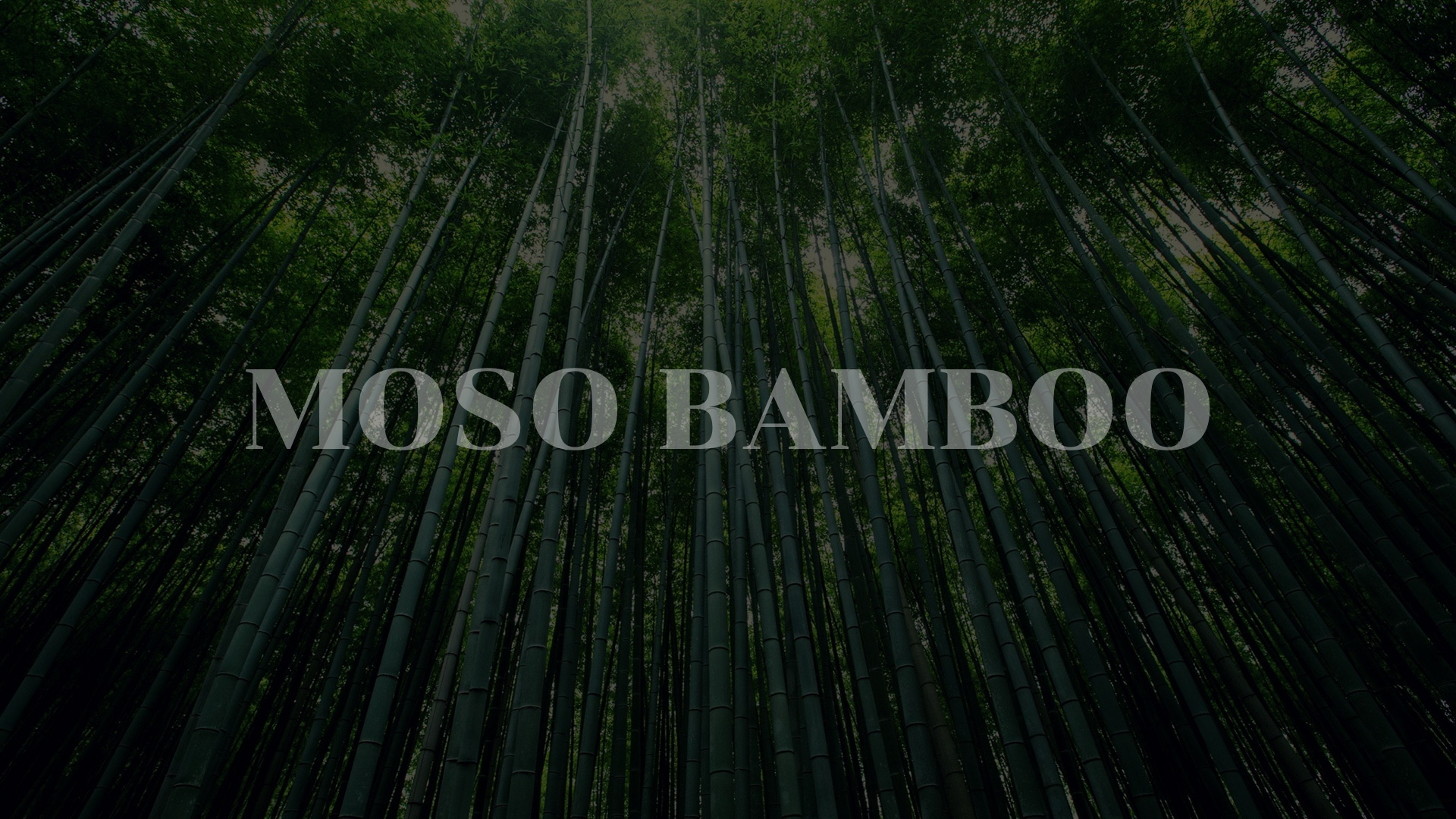 moso bamboo,bamboo cutting board, bamboo boards