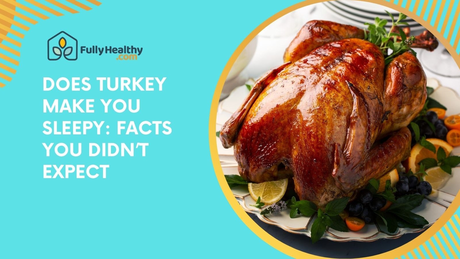 Does Turkey Make You Sleepy: Facts You Didn’t Expect
