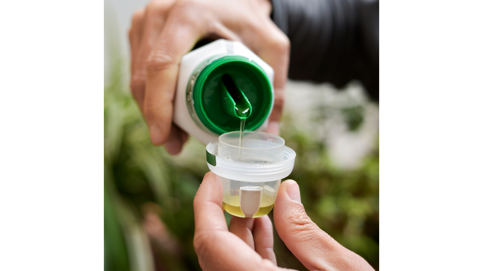 Liquid fertilizers are ideal for stem plants and floaters