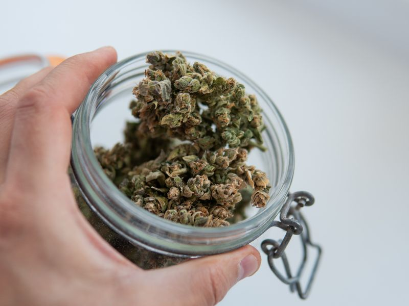 person holding jar of cannabis
