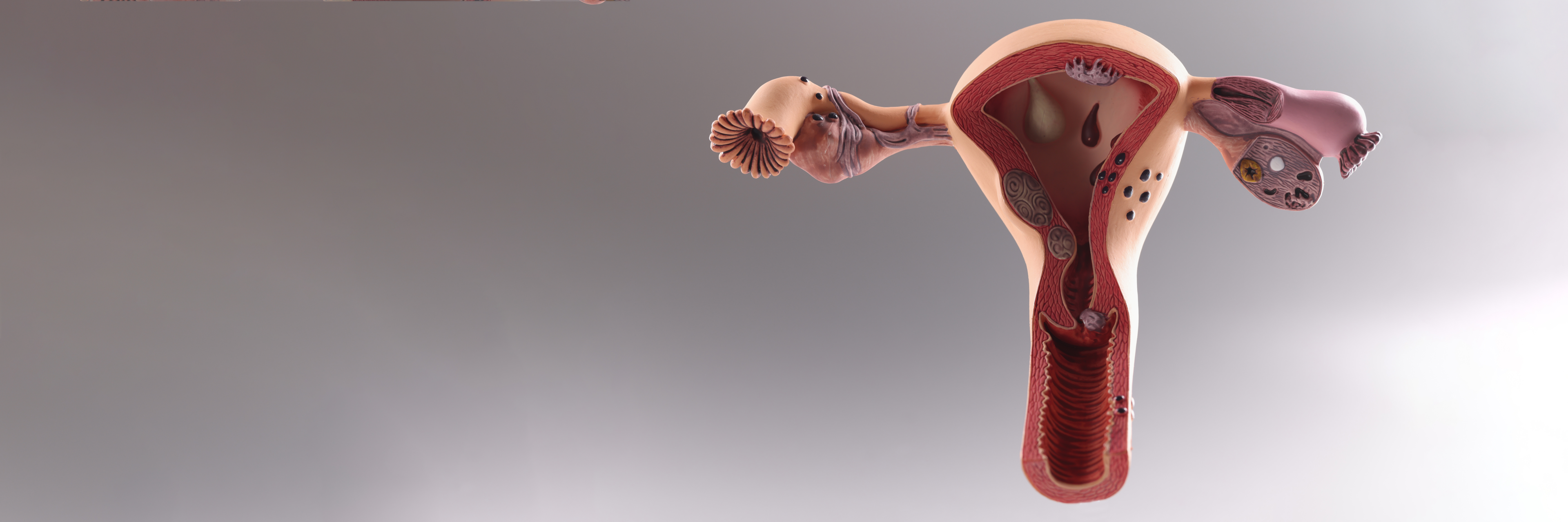 The lumps and bumps on the vagina are uncommon and are rarely of serious concern.