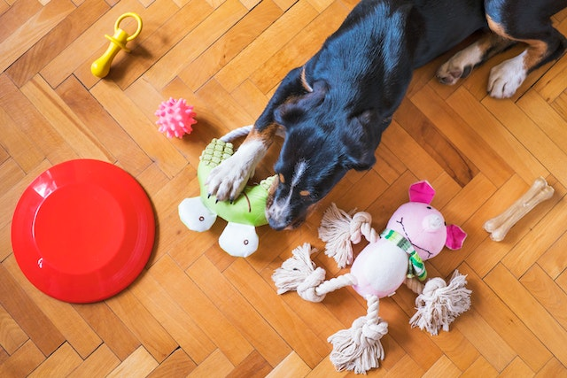 How to clean on sale dog rope toys