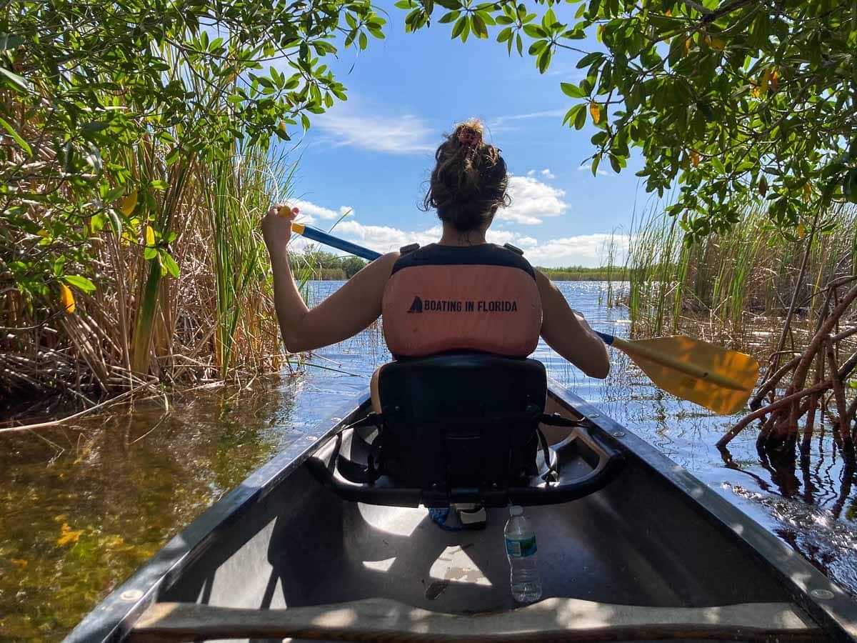 Nine Mile Pond Canoe Trail