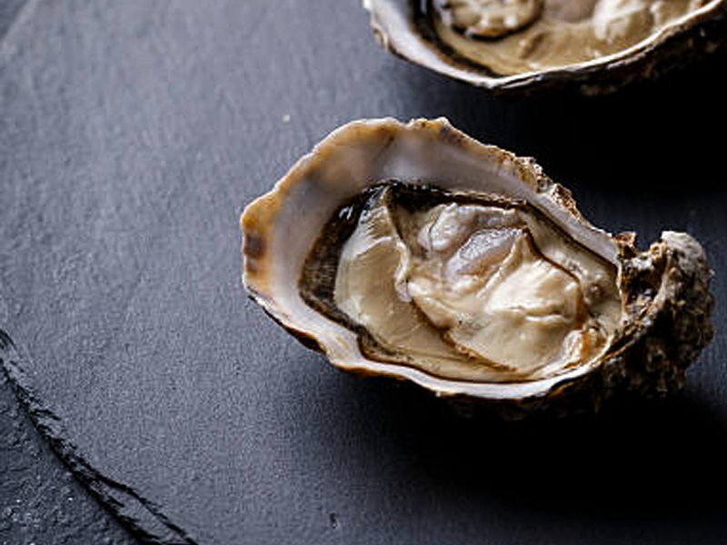 Image showing White Stone Oysters, the star ingredient for oyster stew.