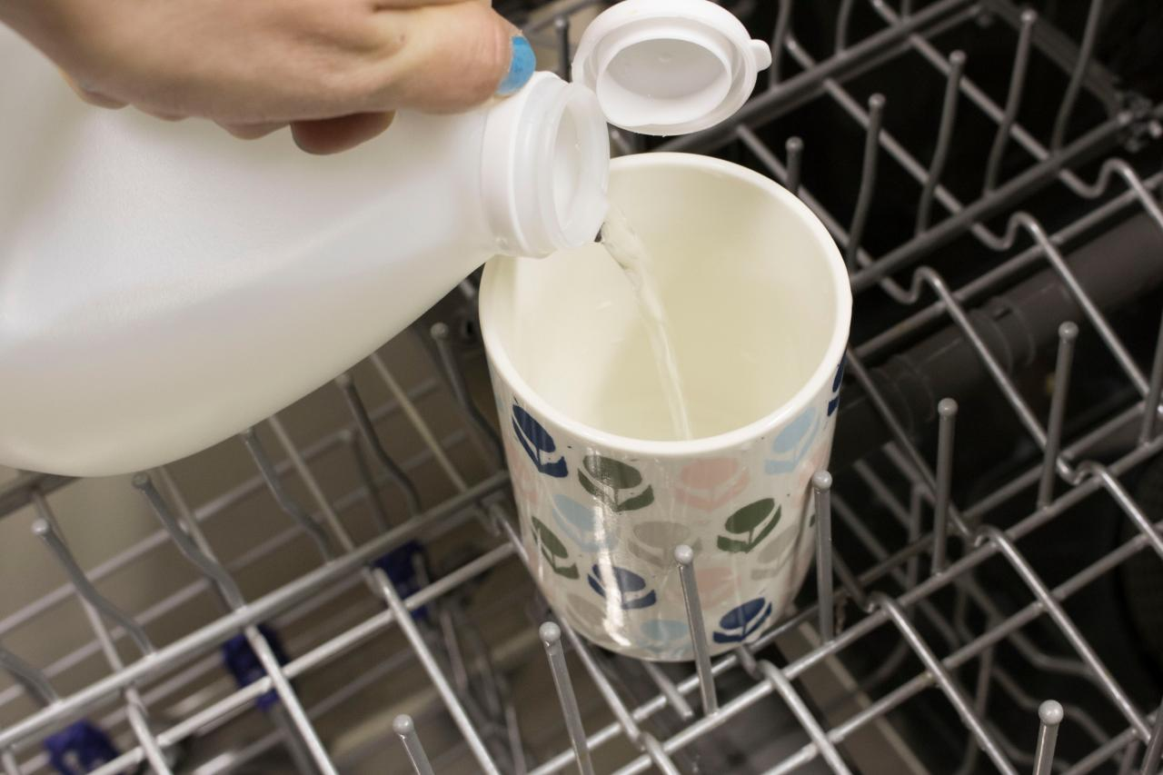Clean the dishwasher drain with vinegar