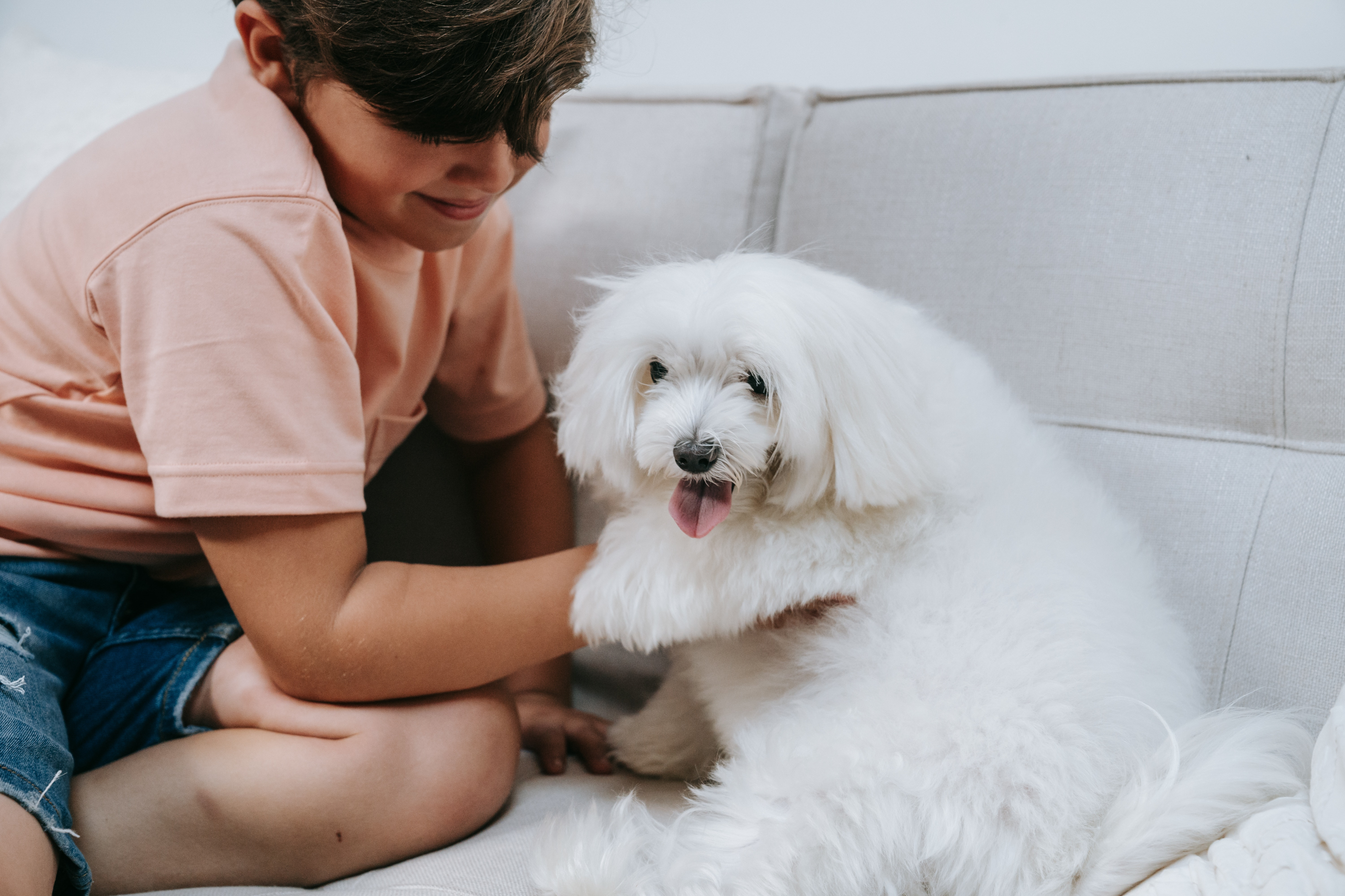Assisted animal therapy can help with a lot of physical and mental health problems.