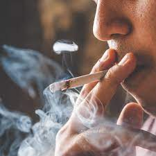 What Is Mainstream Smoke and Why Is It Harmful?