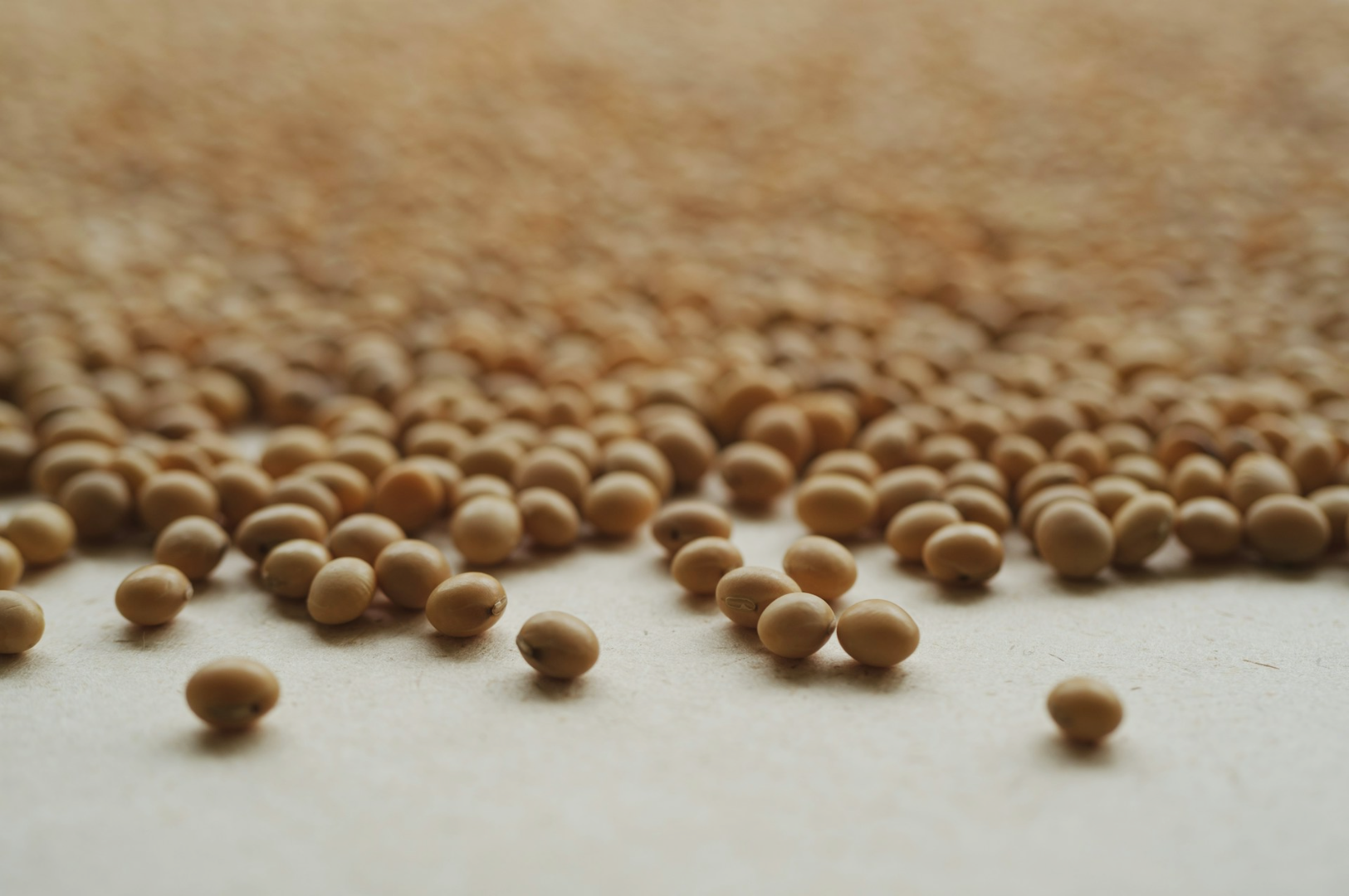 A close-up of numerous tan soybeans scattered across a light surface. The foreground is in focus, gradually blurring into the background, creating a calming effect.