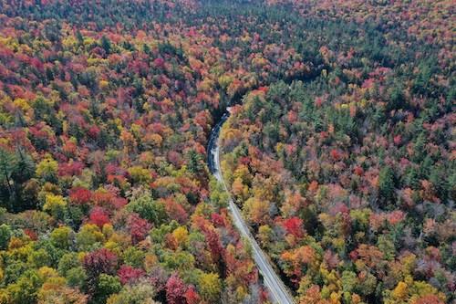 Kancamagus Highway, a great addition to a New England road trip from NYC