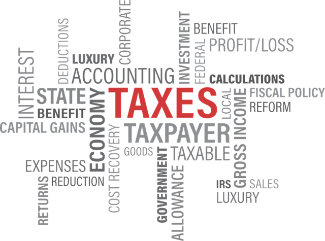 tax, taxes, government, The IRS Collects Income Taxes through the Employer