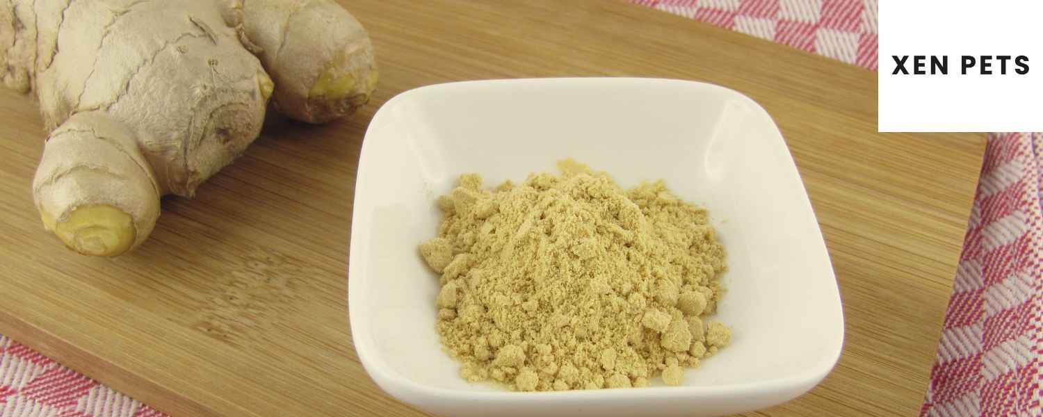 Your dog can eat ginger root in small doses