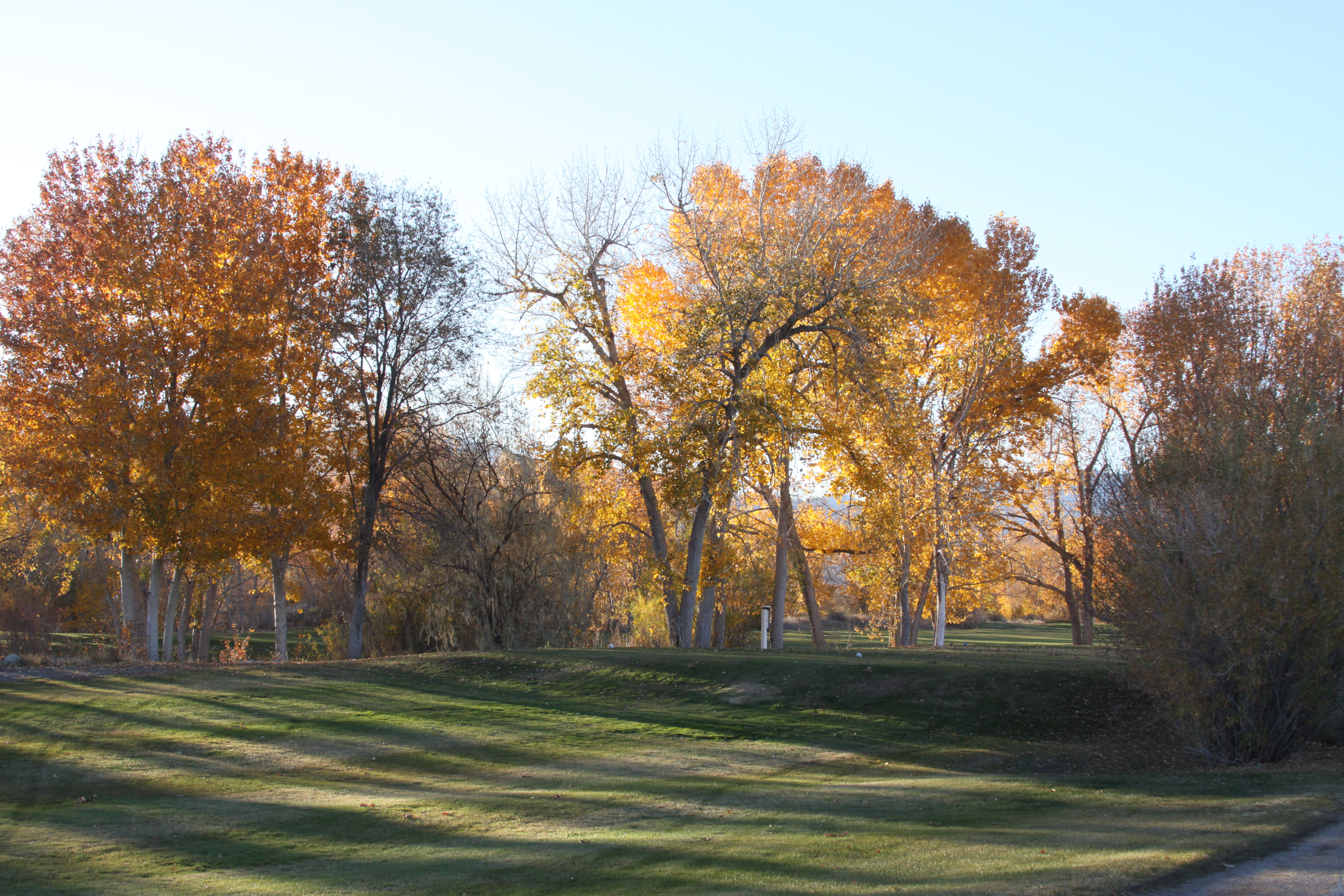 Carson Vally yGolf Course and Fall colors on the trees