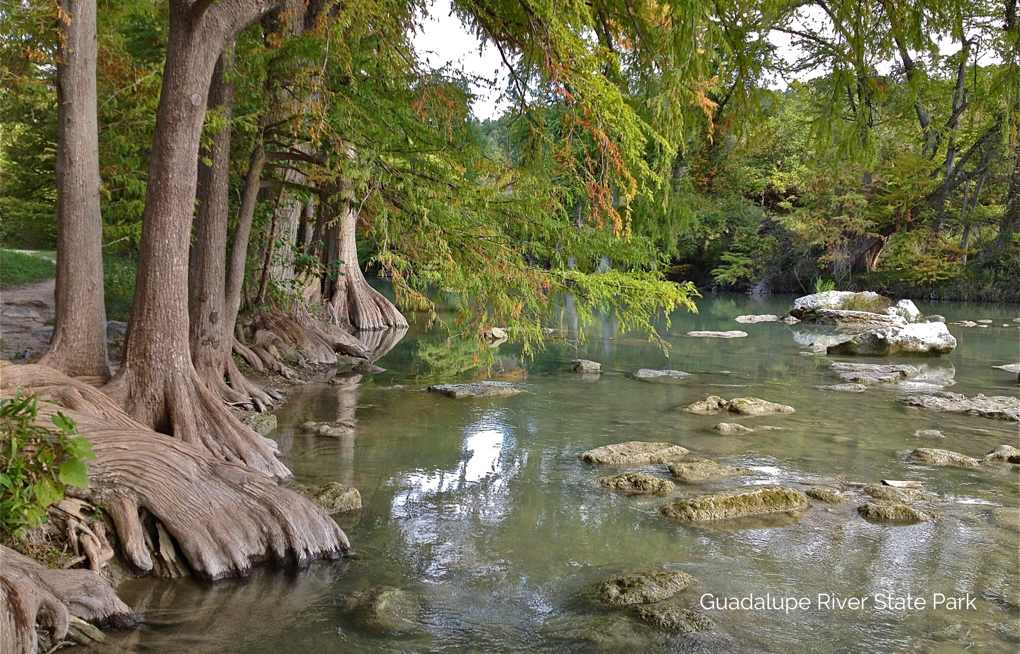 Guadalupe River State Park