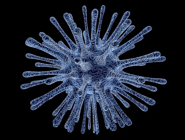 A graphical image of a virus or bacterium signifying infection on a black background. 