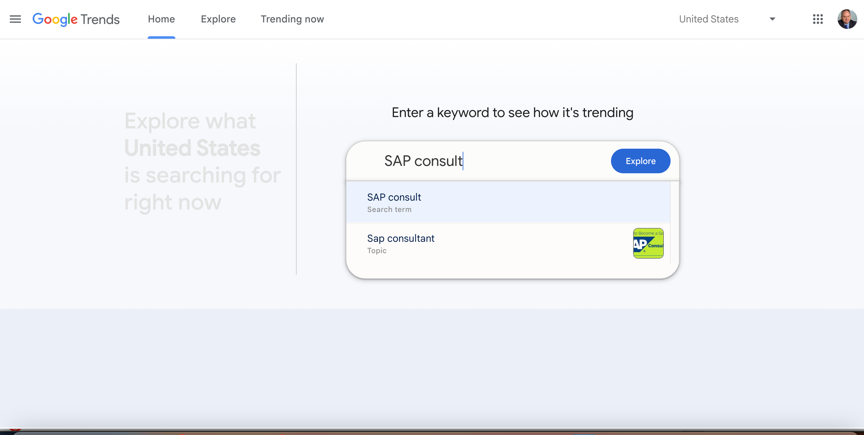 Google Trends SAP Consultant Topic