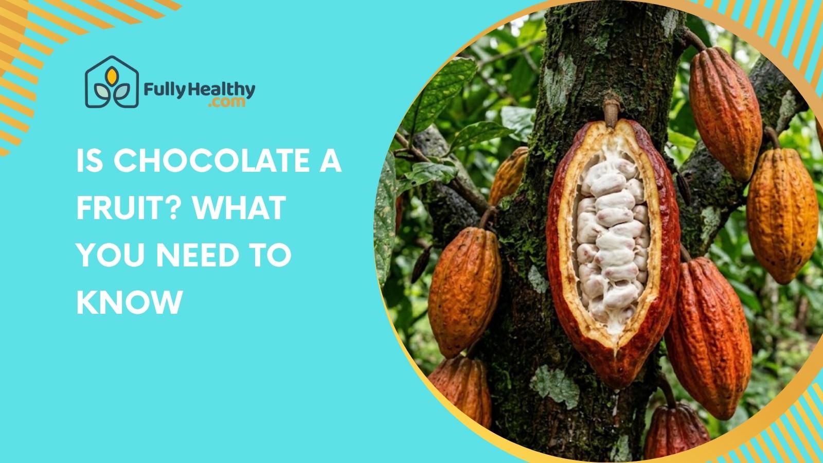 Is Chocolate A Fruit? What You Need To Know