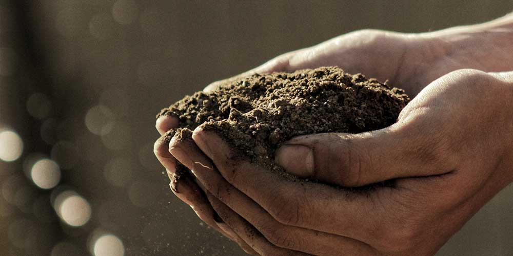 A soil testing kit being used to test soil quality