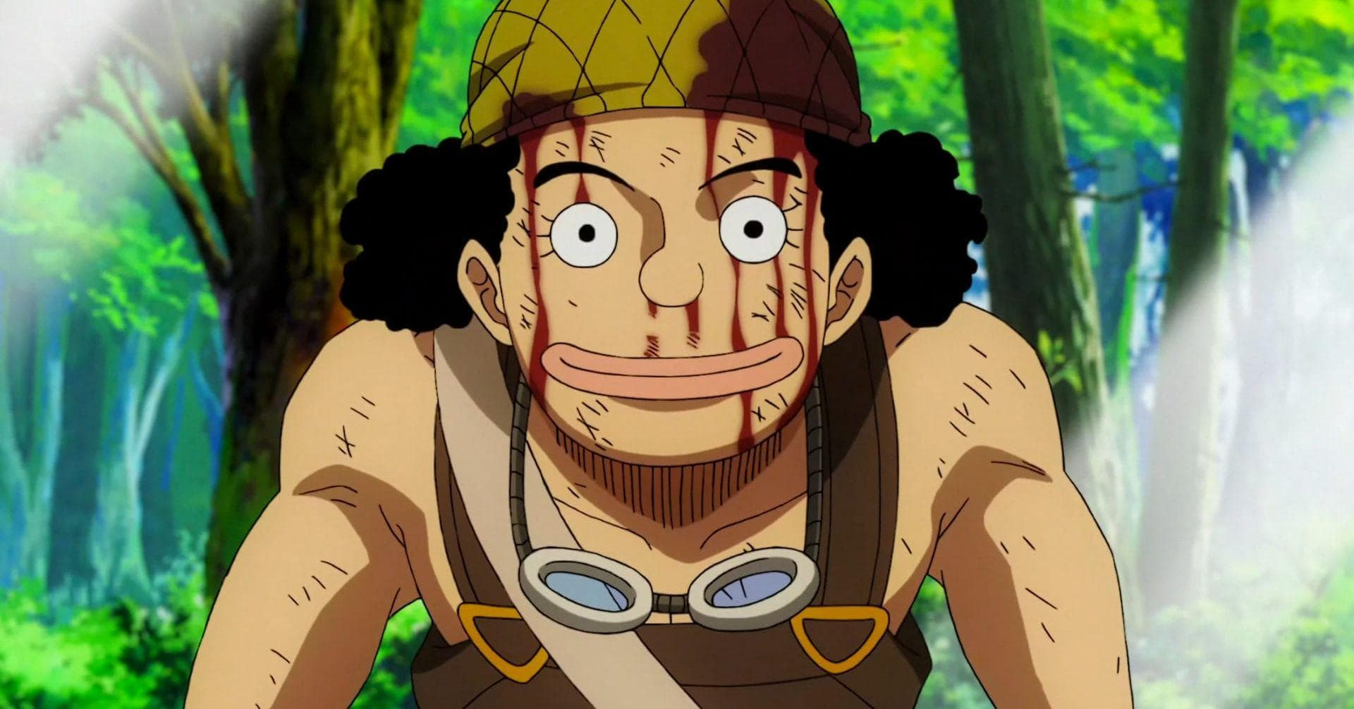 One Piece': When Did Each Member of the Crew Join the Straw Hats?