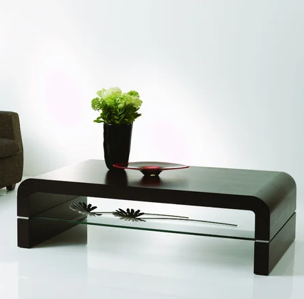 modern low coffee table with glass shelf