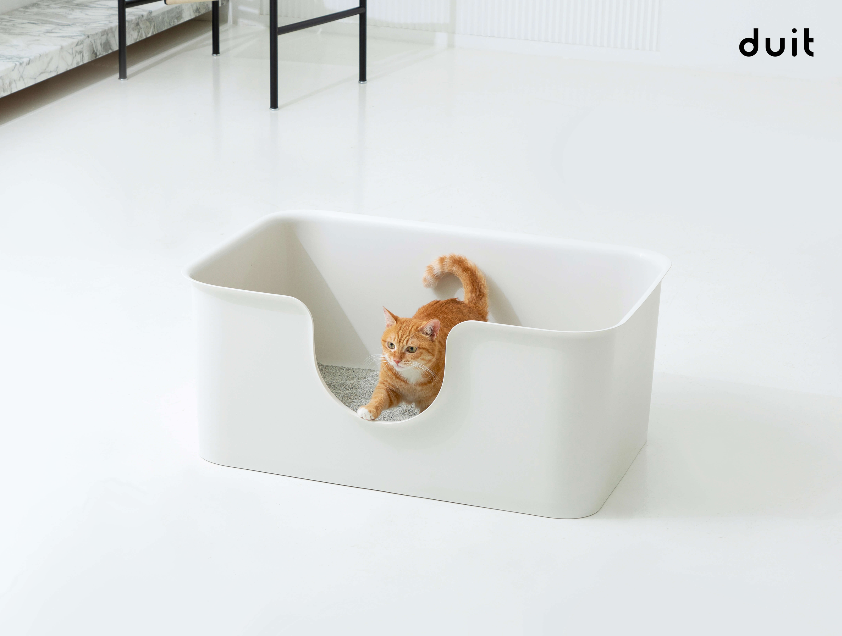 Orange cat about to jump out from a white and wide litter box.