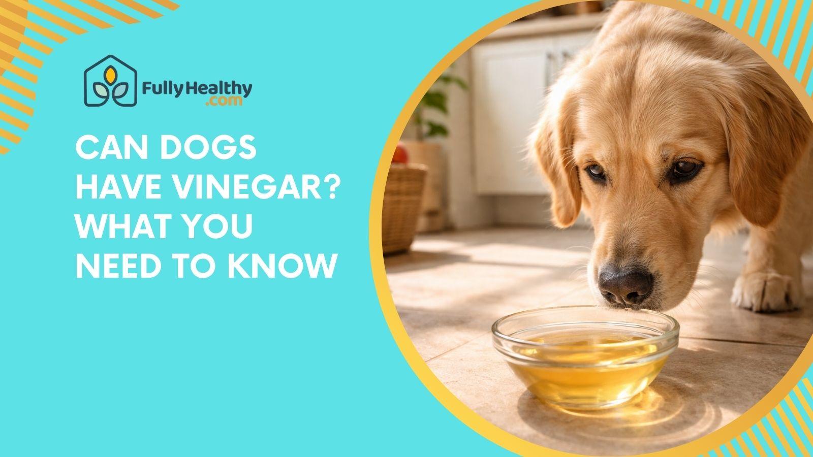 Can Dogs Have Vinegar? What You Need to Know