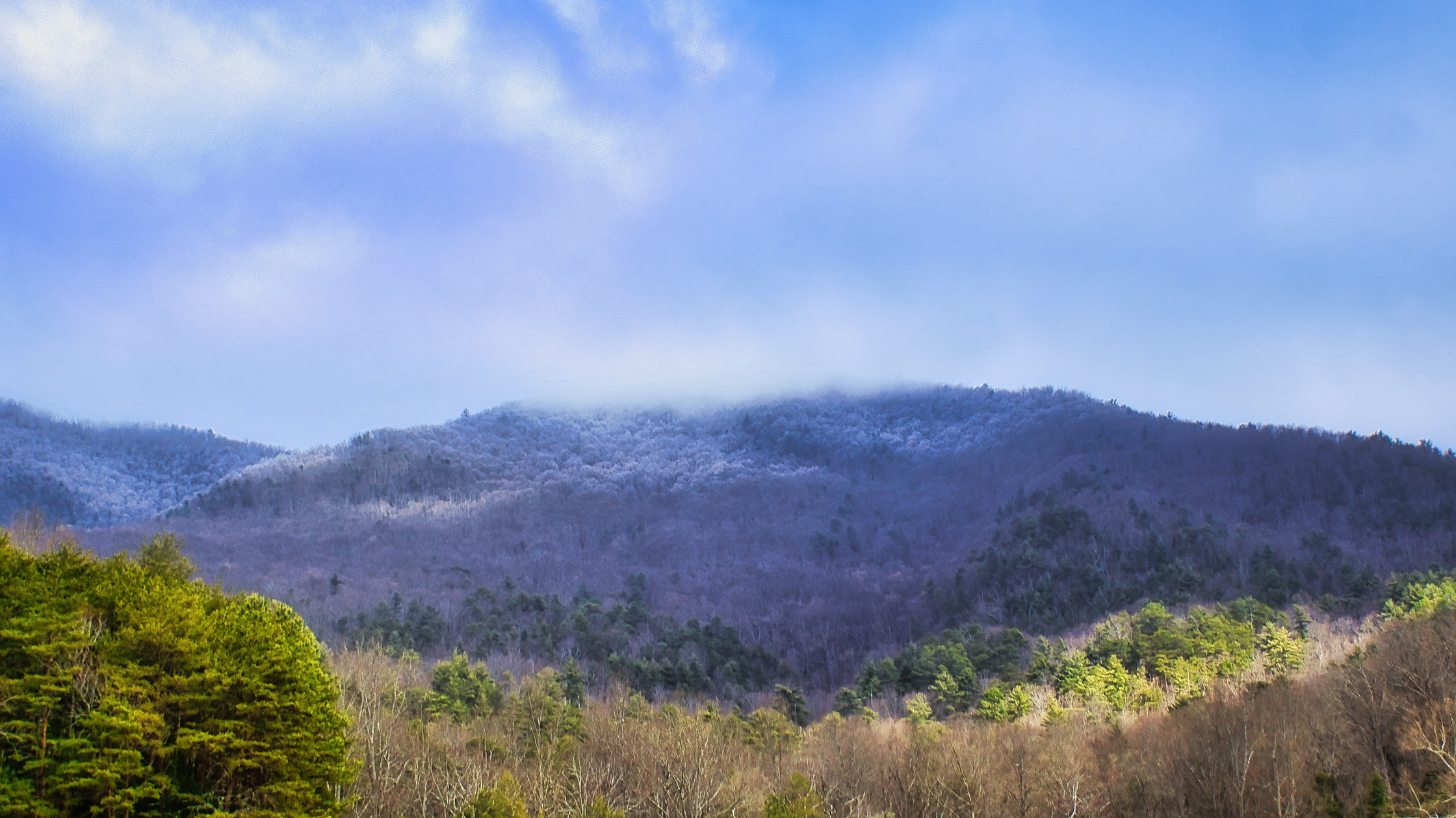 Smokies Mountains 