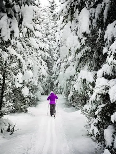 Winter sports like cross country skiing are easy to do here