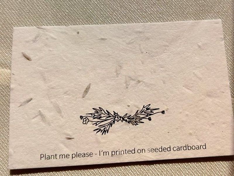 Plantable Seed Paper