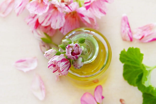 oil, geraniums, leaves