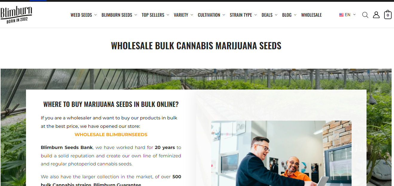 10 Best Places To Buy Marijuana Seeds In Bulk Online Blimburn Seeds