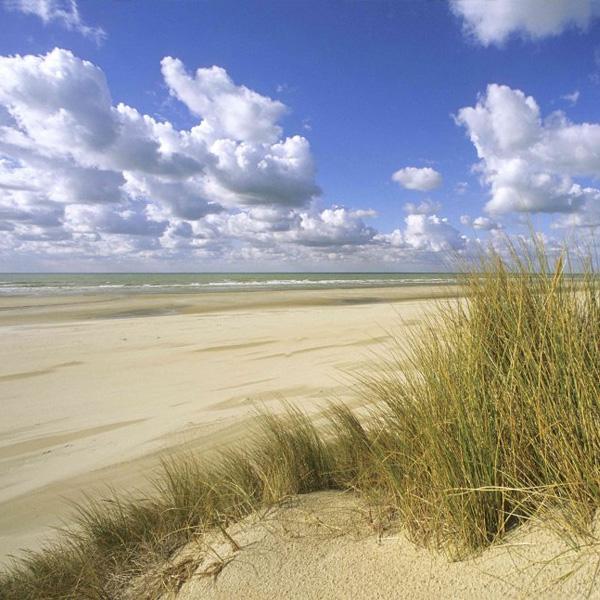 rando plage et dunes de dunkerque nord