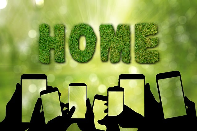 smartphones, tiktok, globalization