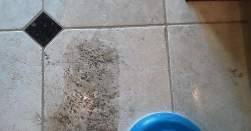 Tile and Grout Cleaning Northern VA