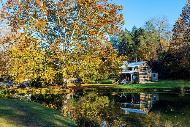 log cabin, west virginia, pond, investment property, median household income around national average, low unemployment rate, real estate investing, property investing, investment property, increase in property investing in the last year, low population, small town, cash for property, pay cash for property