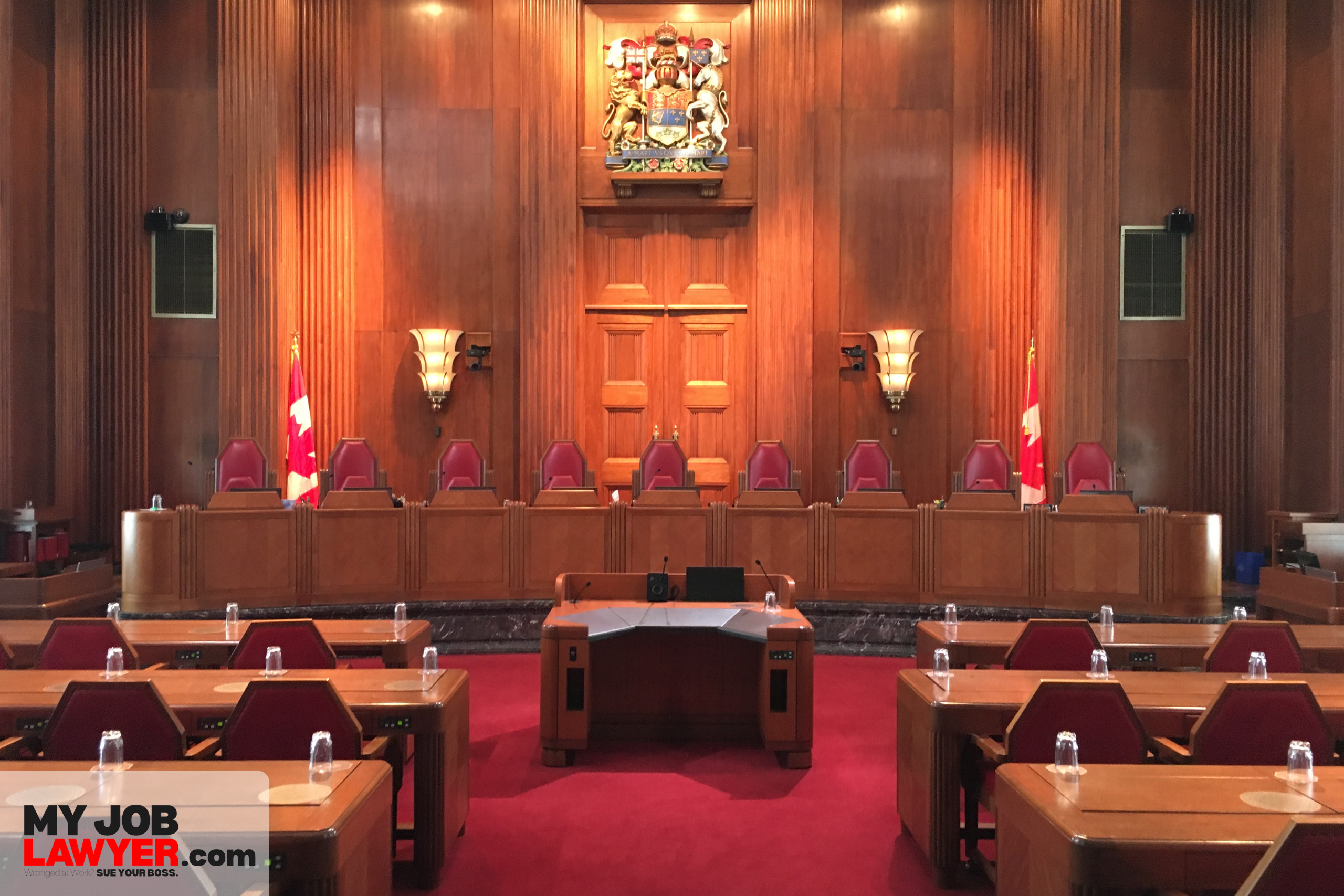 What to Expect During the Legal Process