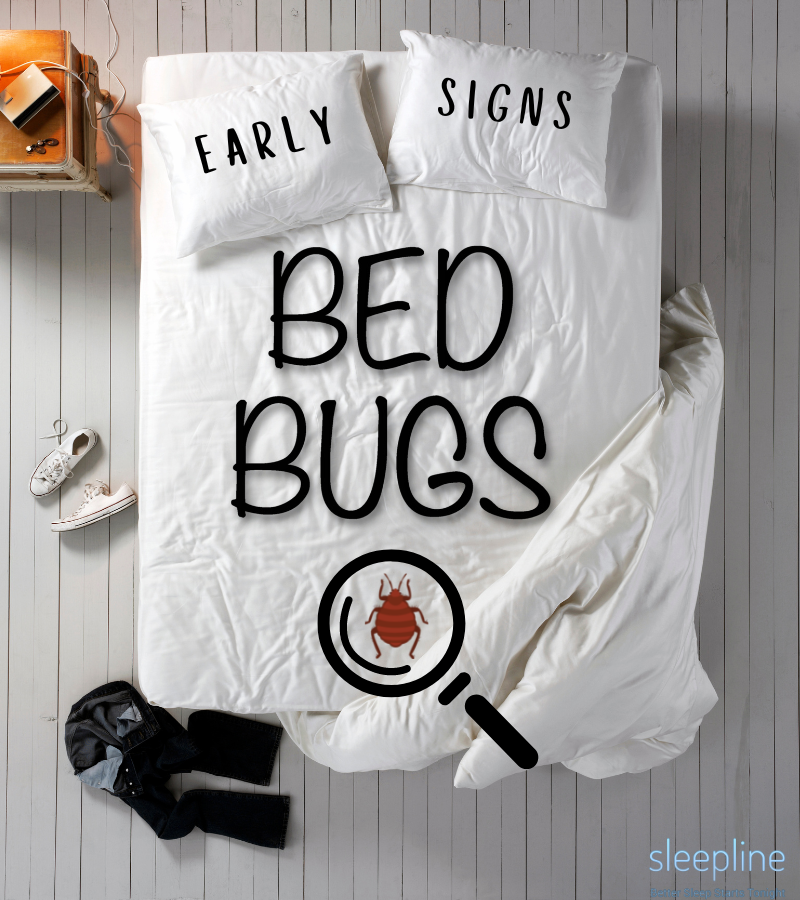 Early Signs Of Bed Bugs On A Mattress (First Stage) | Sleepline