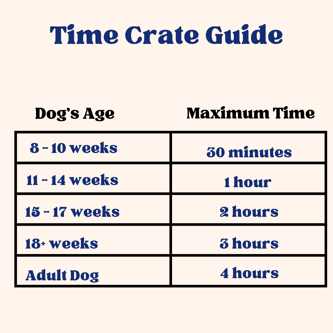 Everything you need to know about how long you can leave your dog in a