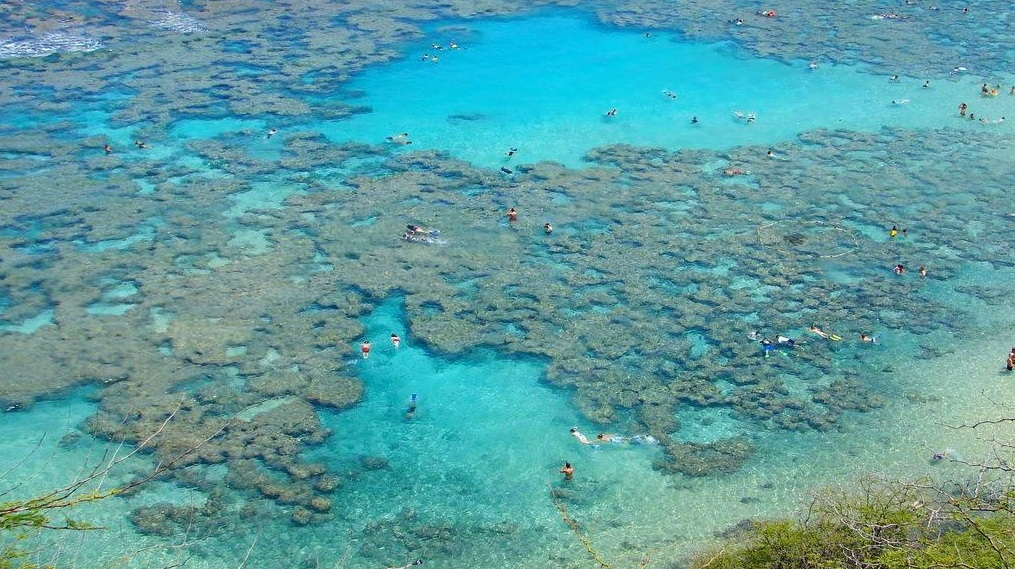 People snorkeling in the crystal clear waters of Hanauma Bay Nature Preserve with a variety of marine life