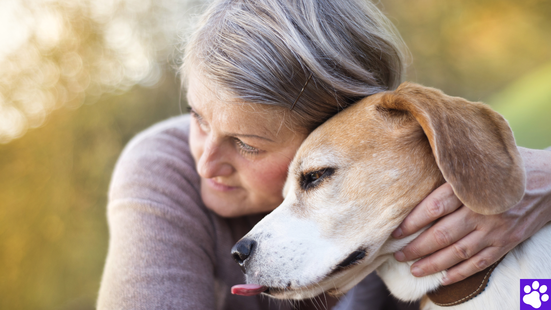 Senior dog cuddling owner