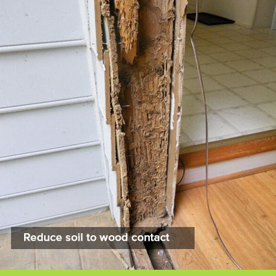 Termite Prevention Tips Competitive Pest Control