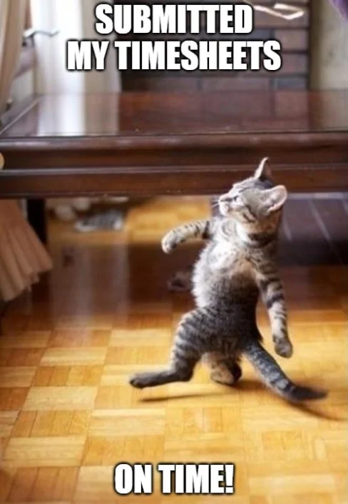 Cat walking with swagger after submitting timesheets on time. Timesheet meme celebrating the satisfaction when employees successfully meet timesheet deadlines.