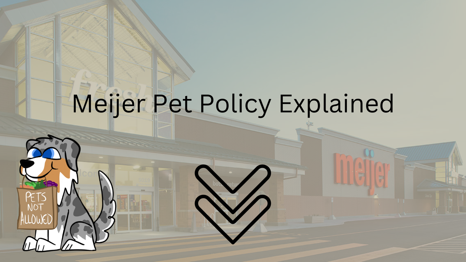 Image Text: "Meijer Pet Policy Explained"