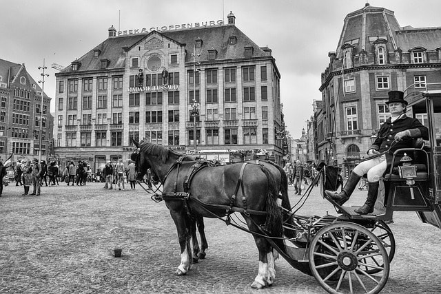 amsterdam, city square, architecture, buildings, carriage, city, europe, vintage, black and white, amsterdam, amsterdam, amsterdam, amsterdam, amsterdam, carriage, carriage, carriage, vintage