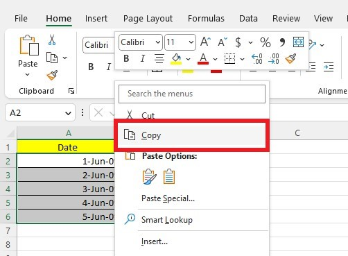 Select and copy your excel date to quickly convert date.
