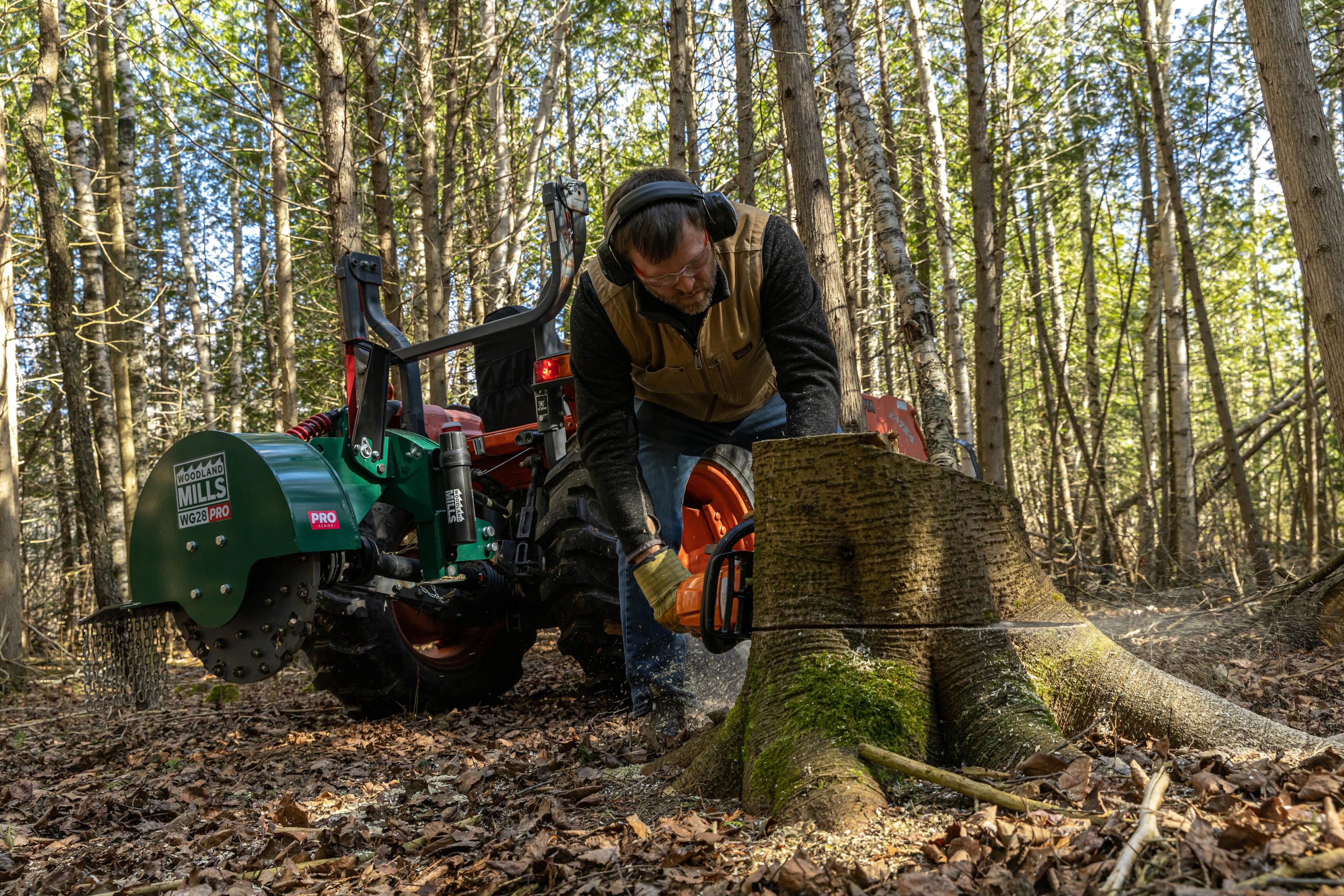 A landowner cutting down a stump to prepare for stump grinding in a forest.