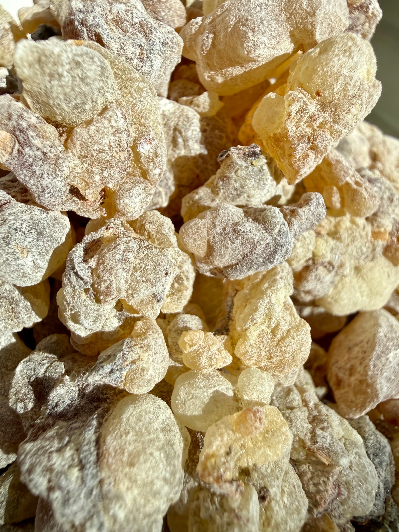 The image features an array of Yemeni frankincense resin, highlighting its various grades with distinct colors and textures. This valuable aromatic resin, harvested from boswellia sacra trees, has been integral to traditional medicine and trade across many cultures for centuries.