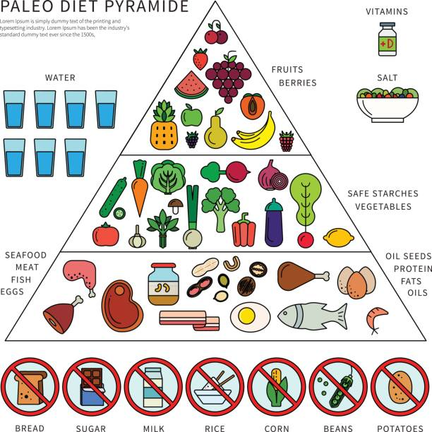 Paleo Diet Food List