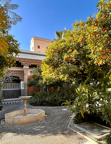 Image of an interior garden in Marrakech, Morocco - place to visit in Morocco.